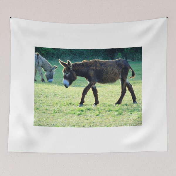 Item preview, The two donkeys designed and sold by ART22.