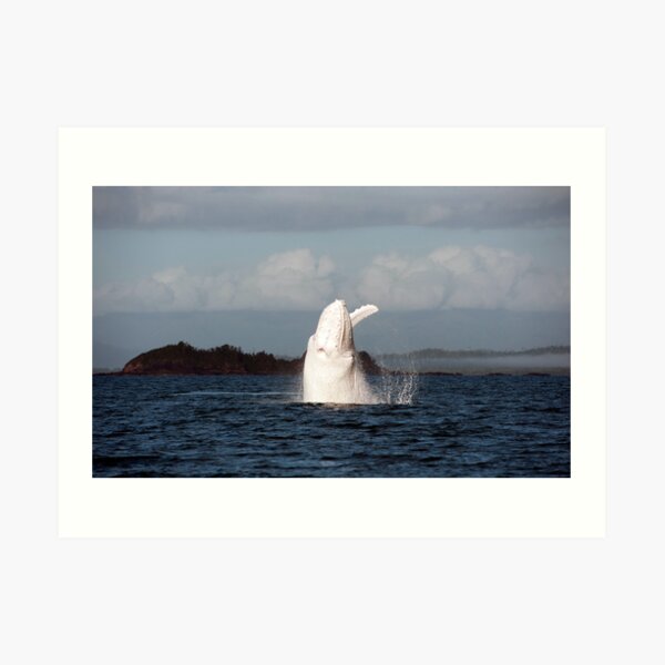 The Big White Whale Art Print
