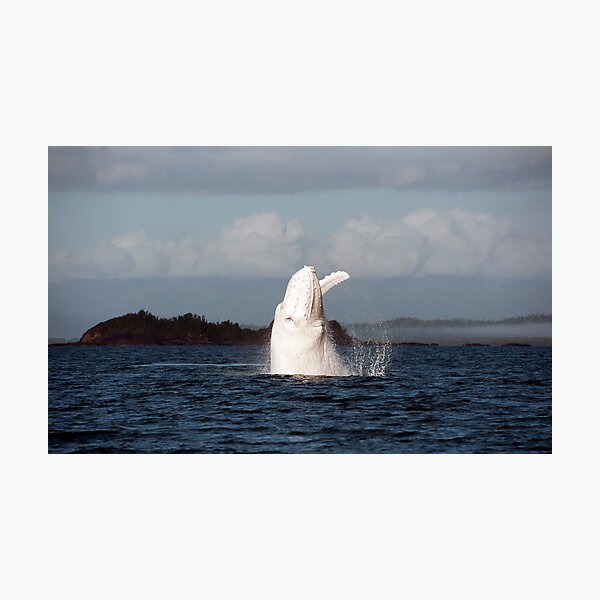 The Big White Whale Photographic Print
