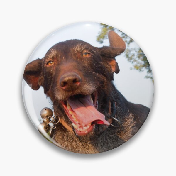 Item preview, Happy German Wirehaired Pointer running designed and sold by FOLK ART FUSION by heidiannemorris.