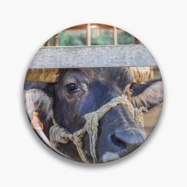 Item preview, Laos. At the Buffalo Farm. Buffalo. designed and sold by vadim19.