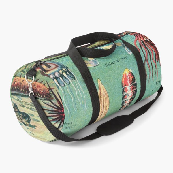 Item preview, Vintage french biology illustration - Quillet - Vie sous-marine designed and sold by Gardenlibrary.