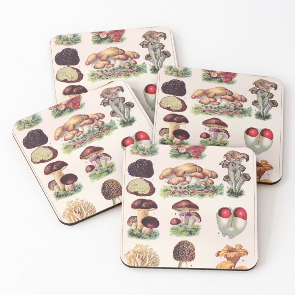 Item preview, Ilustración de biología francesa vintage - Quillet - Champignons comestibles designed and sold by Gardenlibrary.
