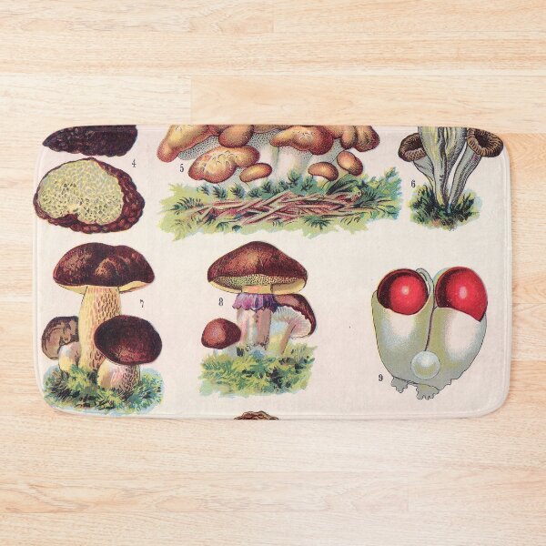 Item preview, Vintage french biology illustration - Quillet - Champignons comestibles designed and sold by Gardenlibrary.