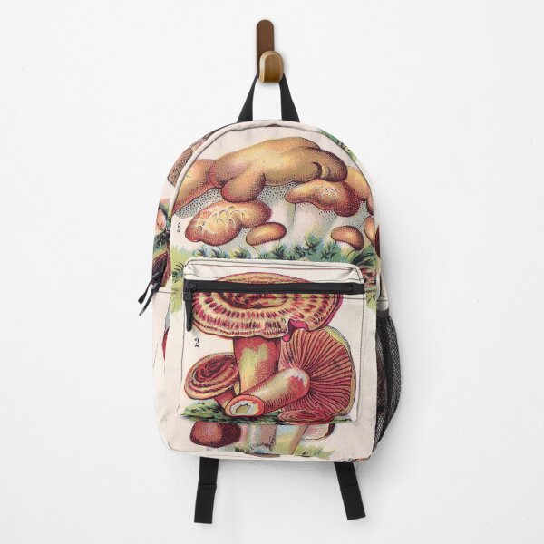 Item preview, Vintage french biology illustration - Quillet - Champignons comestibles designed and sold by Gardenlibrary.
