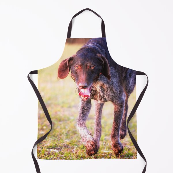 Item preview, German Wirehaired Pointer happy running designed and sold by FOLK ART FUSION by heidiannemorris.