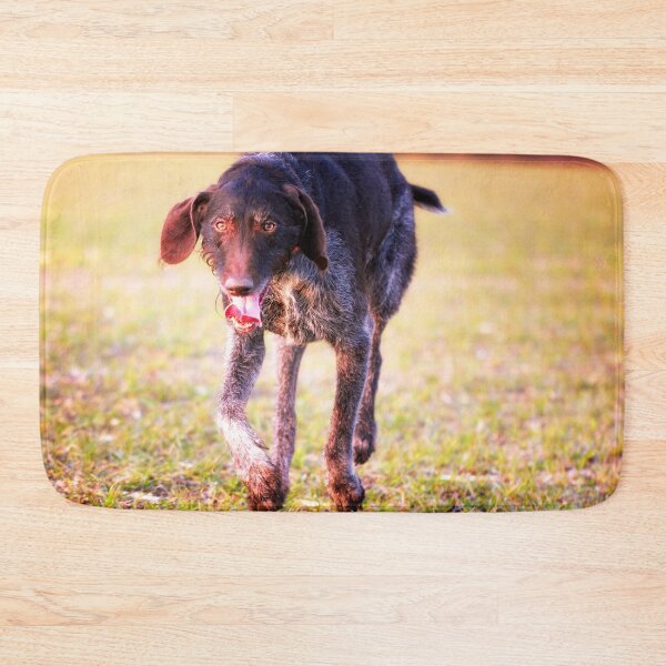 Item preview, German Wirehaired Pointer happy running designed and sold by FOLK ART FUSION by heidiannemorris.