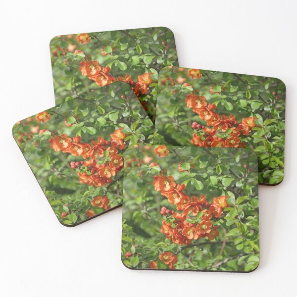 Item preview, red flowers of blooming quince designed and sold by mrivserg.