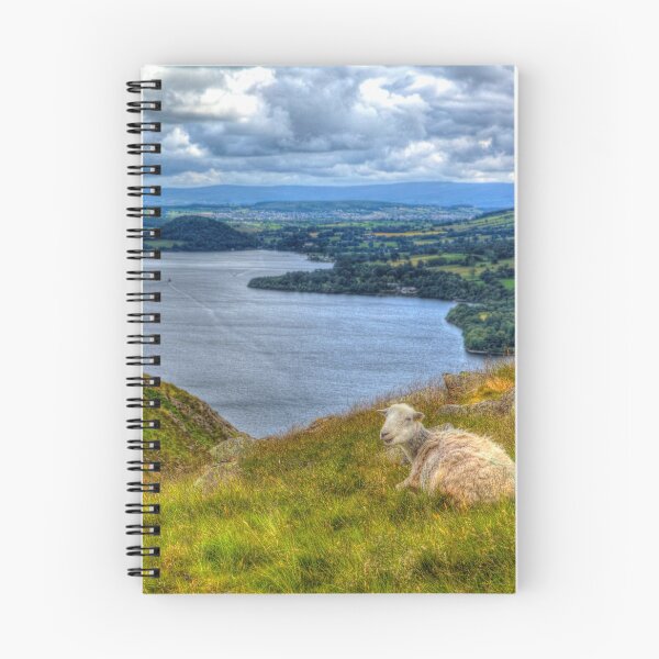 Item preview, The Lake District Sheep With View of Ullswater designed and sold by acceleratorhams.