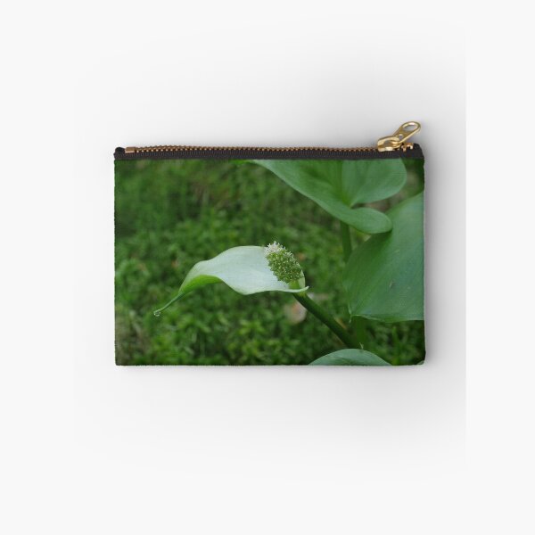 Item preview, marsh calla blooming designed and sold by mrivserg.