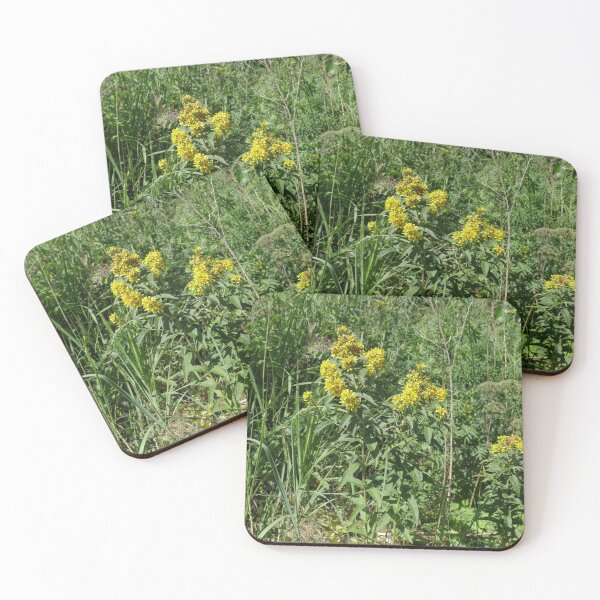 Item preview, yellow hypericum flowers  designed and sold by mrivserg.