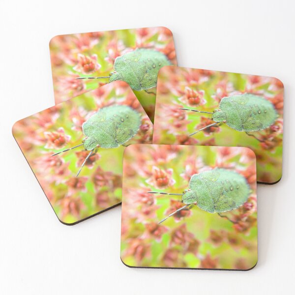Item preview, Green Shield Bug designed and sold by MacroInsects.