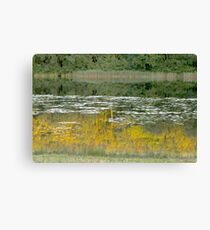 Harmonie élémentaire Canvas Print