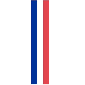 Aperçu de l'œuvre Drapeau français de Filalidesign