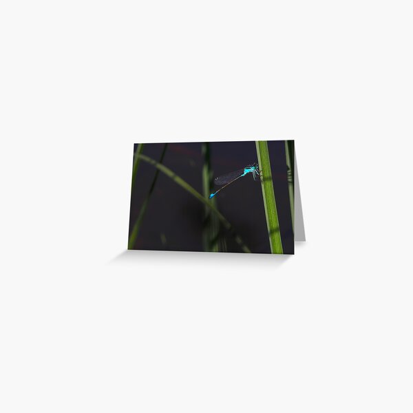 le monde des ombres Greeting Card