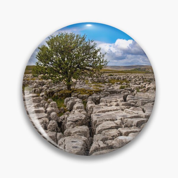 Item preview, Lone tree on Limetsone Pavement designed and sold by MJ-Piccys.
