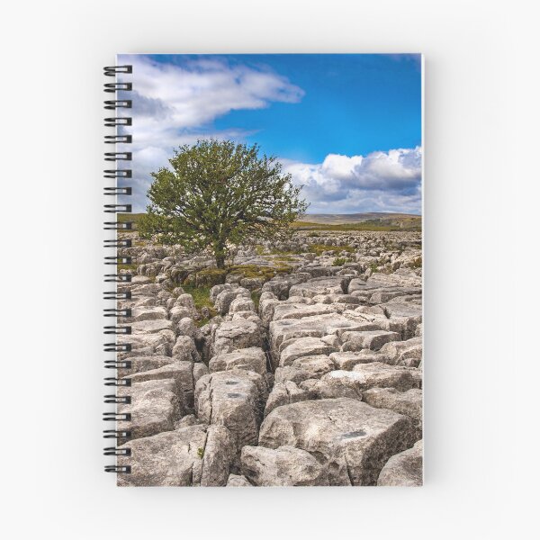 Item preview, Lone tree on Limetsone Pavement designed and sold by MJ-Piccys.