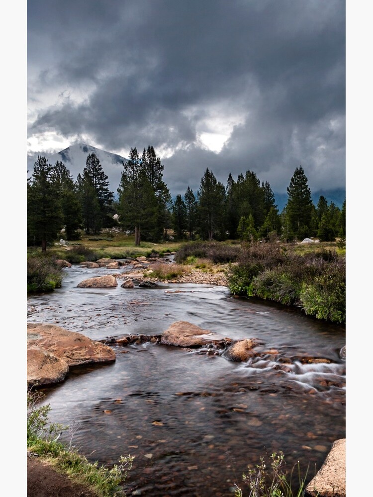 Thumbnail 4 of 4, Samsung Galaxy Phone Case, Rainy Day in Yosemite designed and sold by CatConnor.