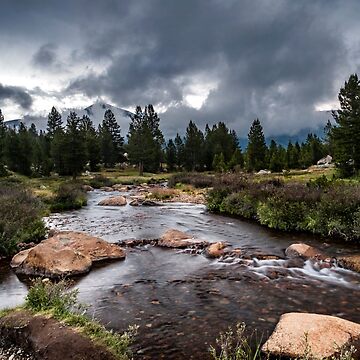 Artwork thumbnail, Rainy Day in Yosemite by Cat Connor