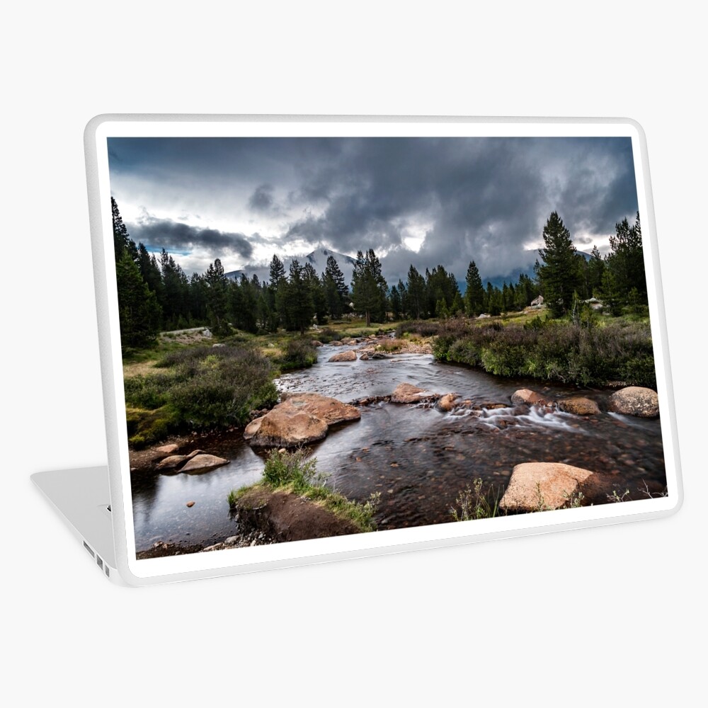 Item preview, Laptop Skin designed and sold by CatConnor.