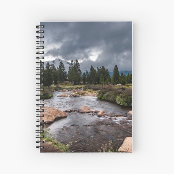 Rainy Day in Yosemite Spiral Notebook