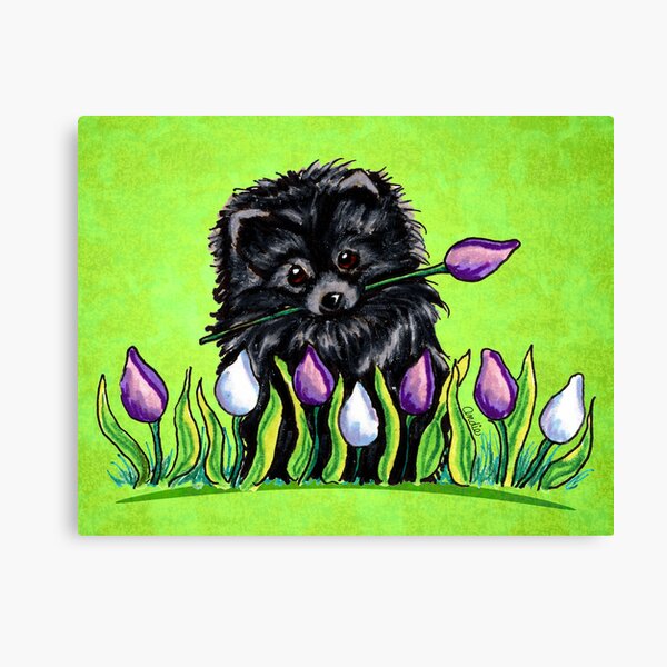 Black Pomeranian in Tulips Green Canvas Print