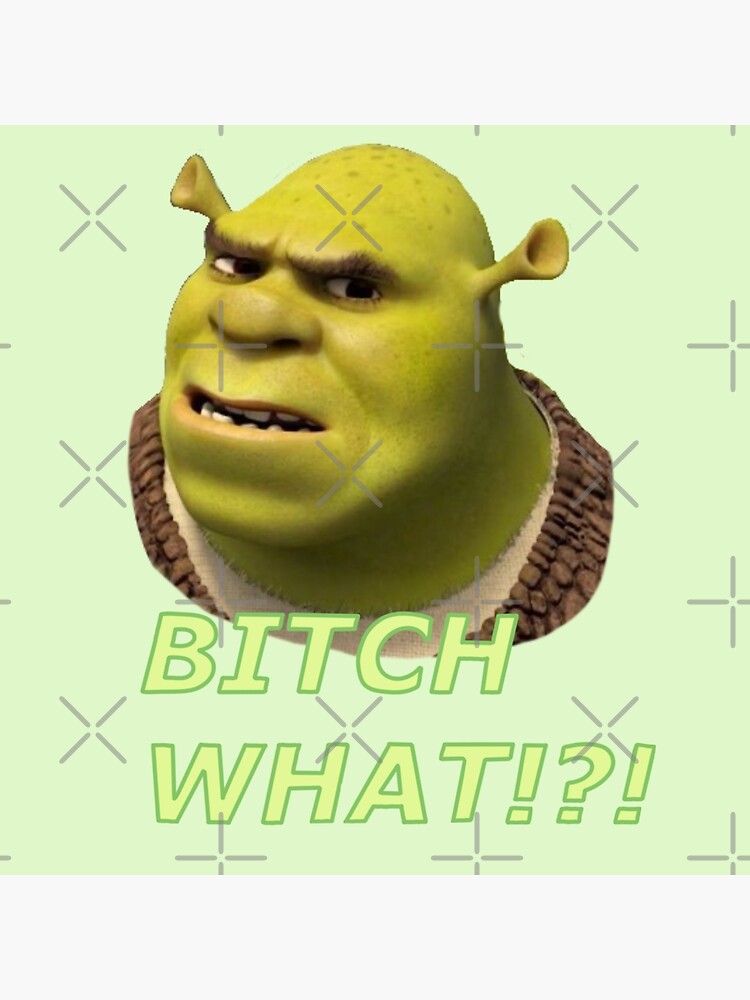 Shrek Confusion : r/MemeRestoration