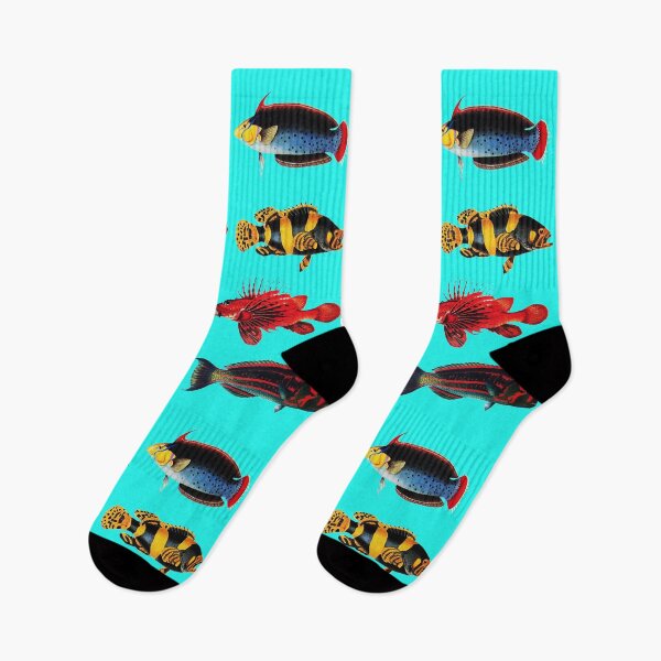 Item preview, COLORFUL FISHES IN TURQUOISE BLUE Antique Animal Drawings designed and sold by BulganLumini.