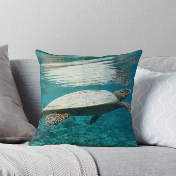 Item preview, turtle designed and sold by bborchert.