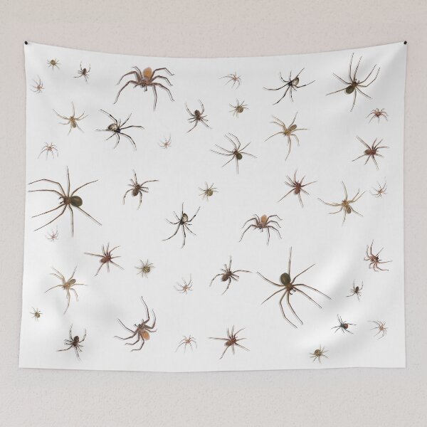 Item preview, Hideous spiders designed and sold by Neolaccus.