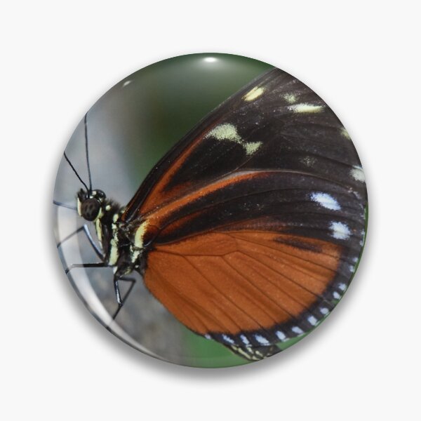 Item preview, A Tiger Longwing butterfly designed and sold by MikeCaffrey.