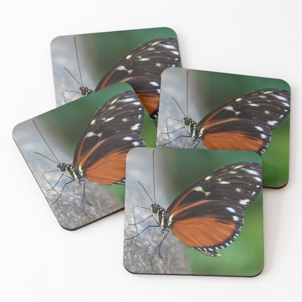 Item preview, A Tiger Longwing butterfly designed and sold by MikeCaffrey.