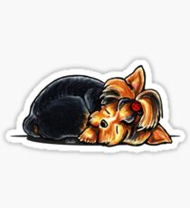 Yorkie Sleeping Babe Sticker