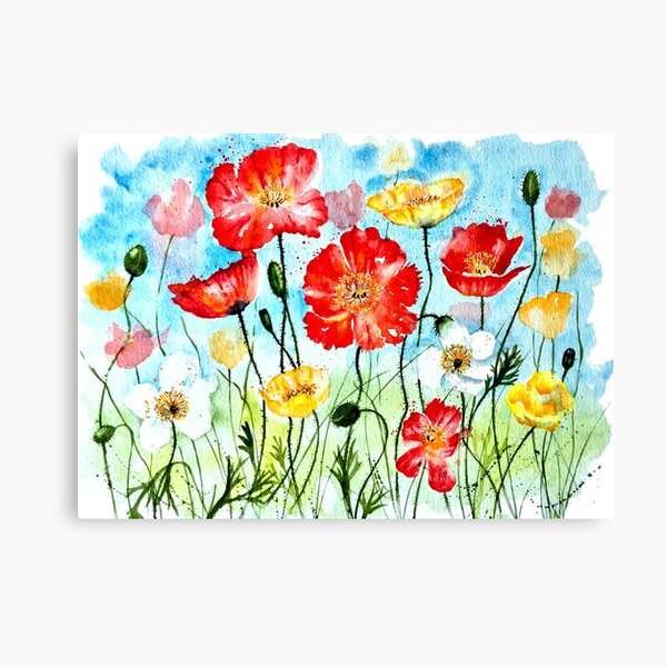 Icelandic Poppies Canvas Print
