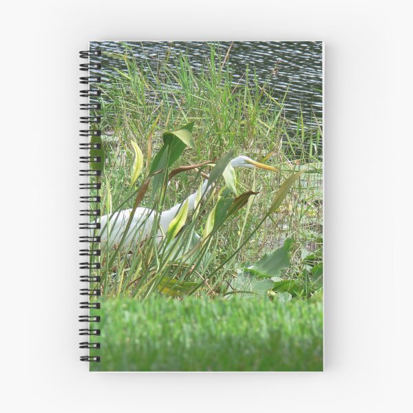 Item preview, Birds of Tampa Bay designed and sold by Monika's Shop.