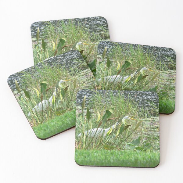 Item preview, Birds of Tampa Bay designed and sold by Monika's Shop.