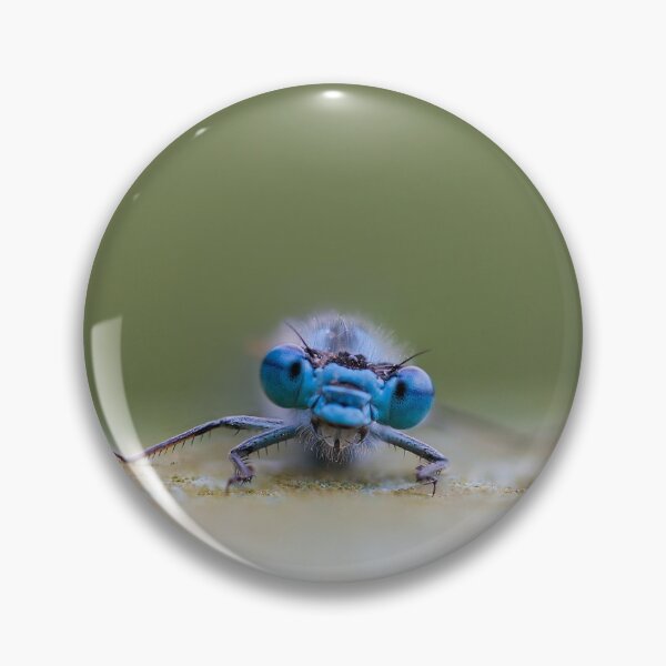 Item preview, Close-up of a Blue Damselfly designed and sold by MikeCaffrey.