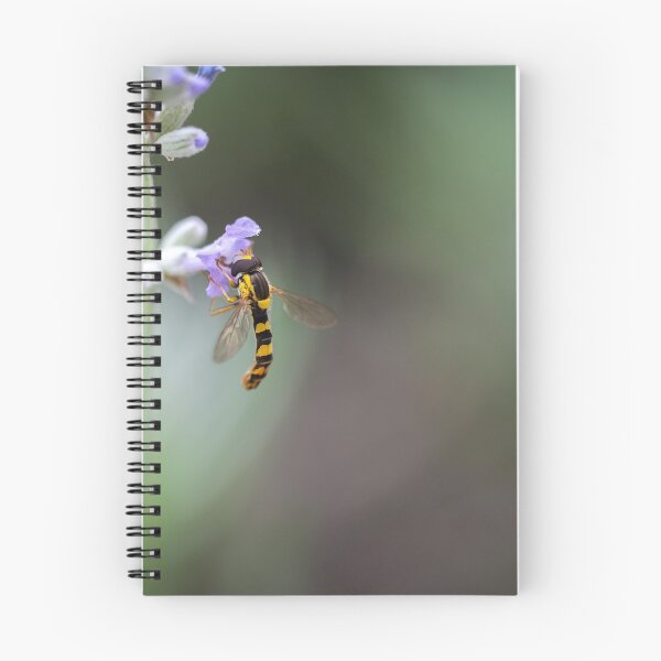 Item preview, Hoverfly collects pollen from a lilac flower designed and sold by MikeCaffrey.