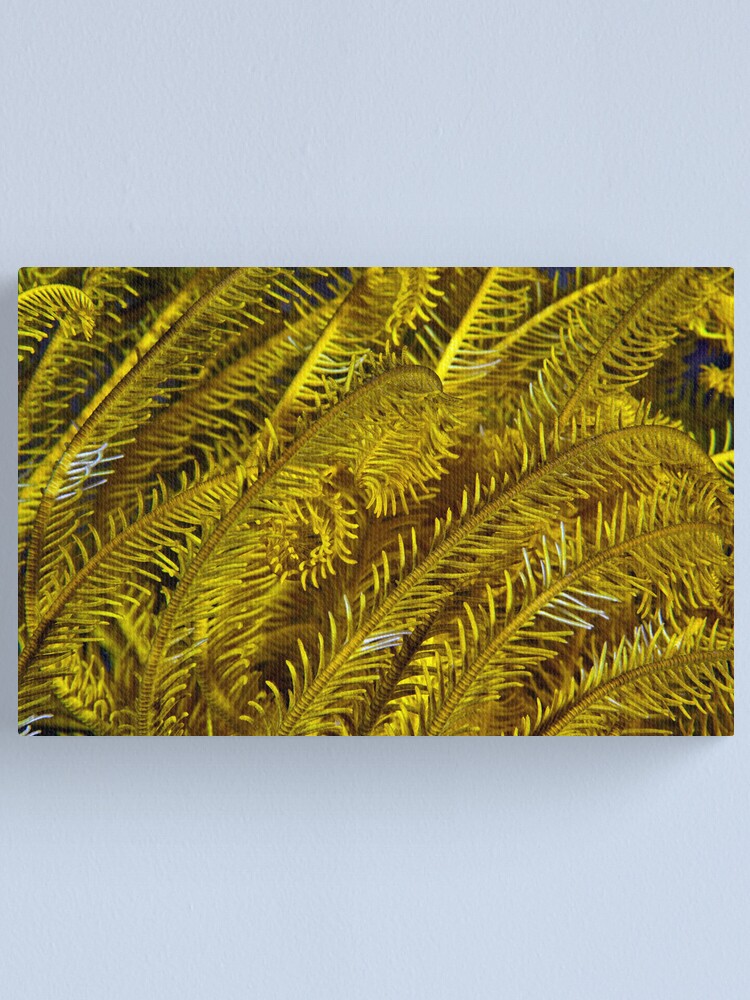 Alternate view of Yellow feathers Canvas Print