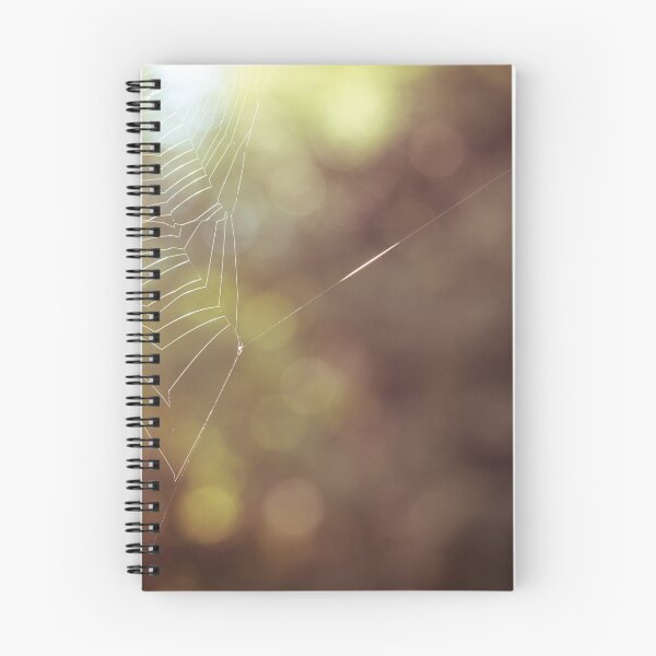 Item preview, Spiderweb designed and sold by MikeCaffrey.
