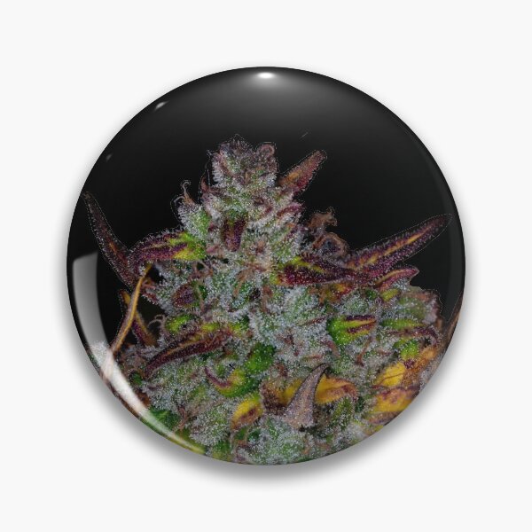 Item preview, Harvest Time for the Bud designed and sold by Dylan Lawrence.