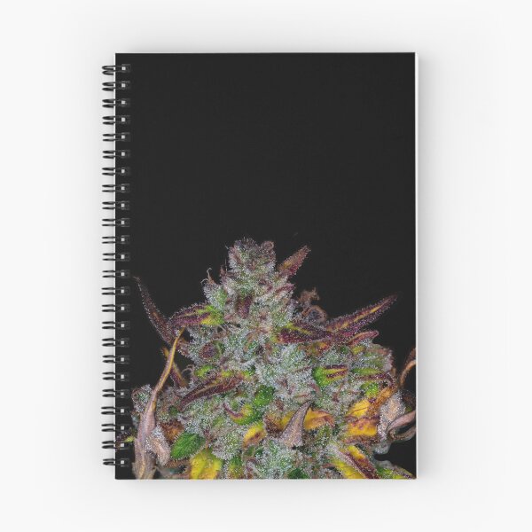Item preview, Harvest Time for the Bud designed and sold by Dylan Lawrence.