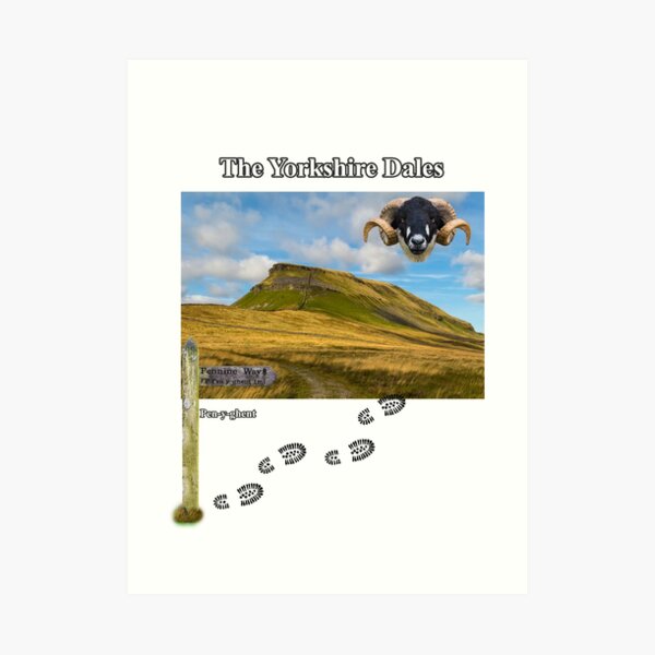 Pennine Way and Pen-y-ghent Art Print