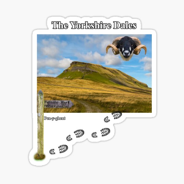 Pennine Way and Pen-y-ghent Sticker