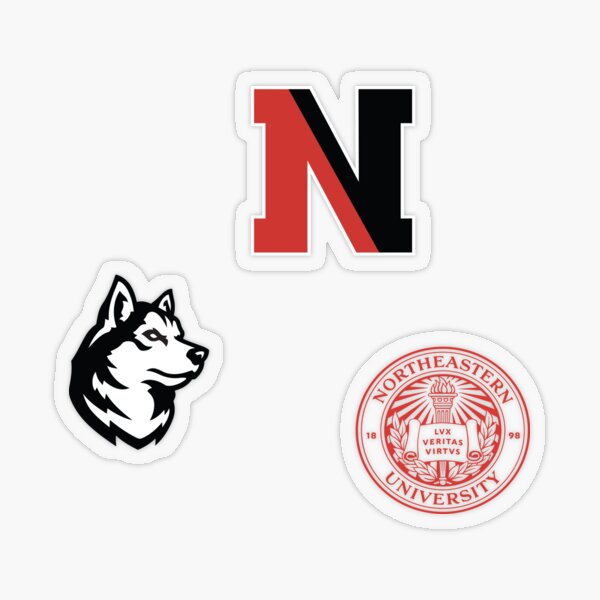 Northeastern Basics Transparent Sticker