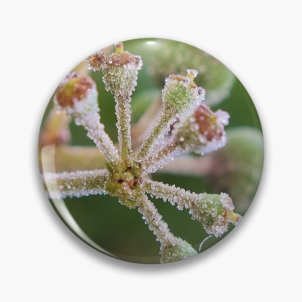 Item preview, Frosty Ivy Fruit designed and sold by Emma Kimberley.