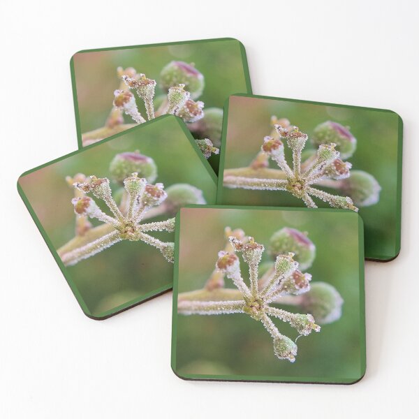 Item preview, Frosty Ivy Fruit designed and sold by Emma Kimberley.
