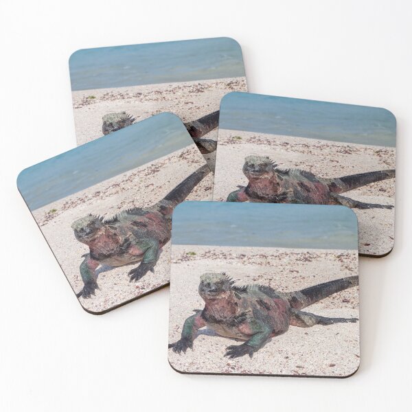 Item preview, Marine Iguana, Galapagos Islands, Ecuador designed and sold by SafariByMarisa.