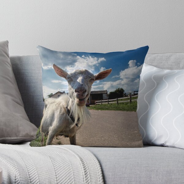 18x18 Funny Goat Gifts Pocket Graphic Goat Pet Throw Pillow Multicolor 18x18 Funny Goat Gifts Pocket Graphic Goat Pet Throw Pillow Multicolor