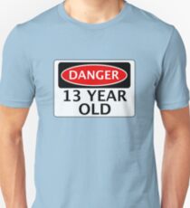 DANGER 13 YEAR OLD, FAKE FUNNY BIRTHDAY SAFETY SIGN Unisex T-Shirt